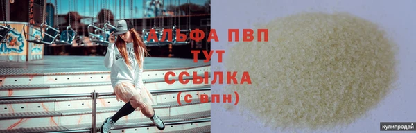 гашик Алексин