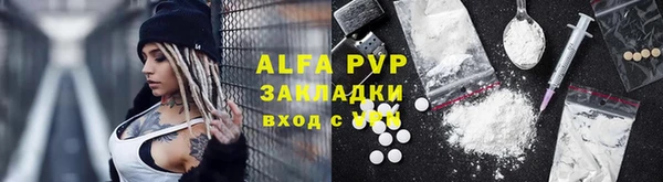 гашик Алексин