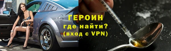 гашик Алексин