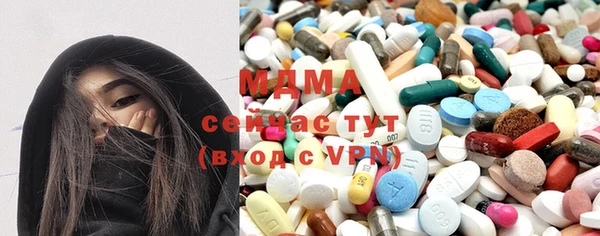 гашик Алексин