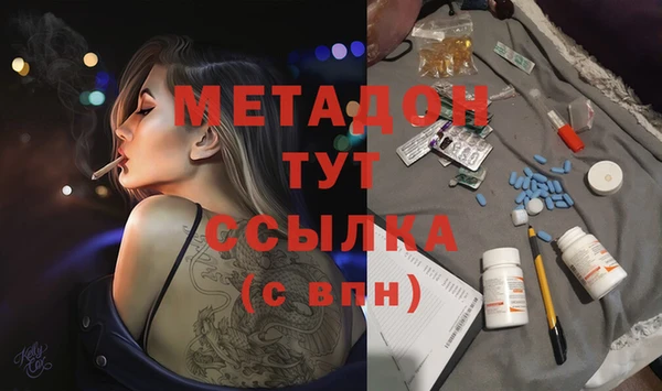 гашик Алексин