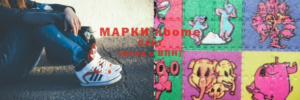 гашик Алексин