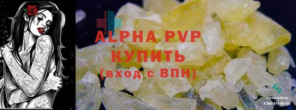 гашик Алексин